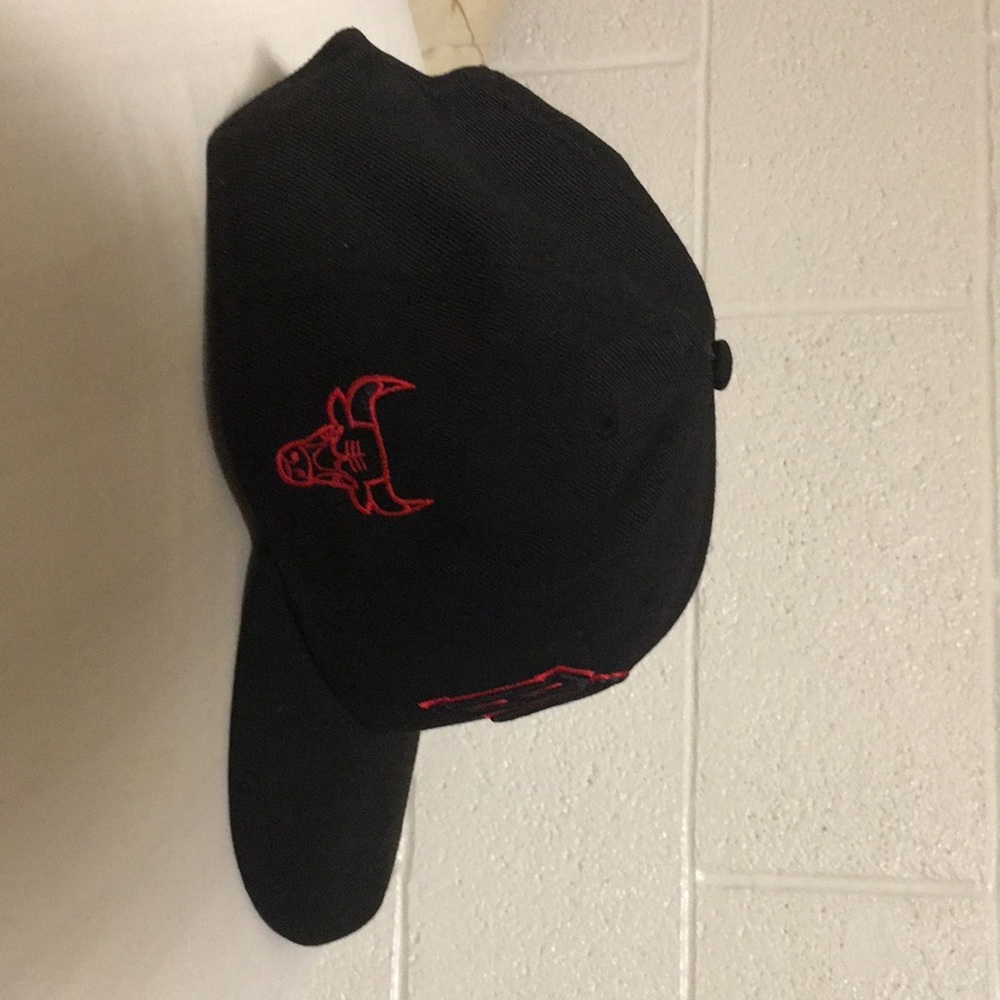 SnapBack - Picture 4 of 4